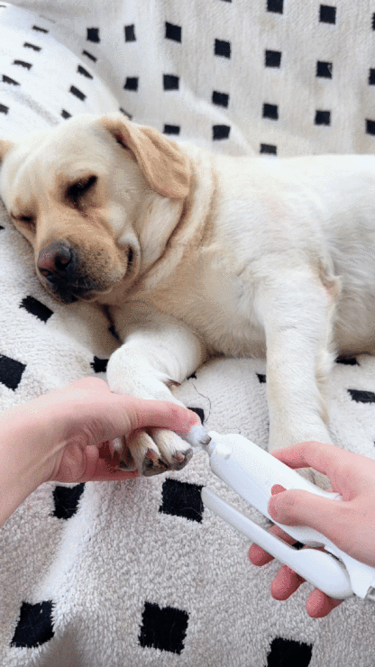 LED Pet Nail Clipper 