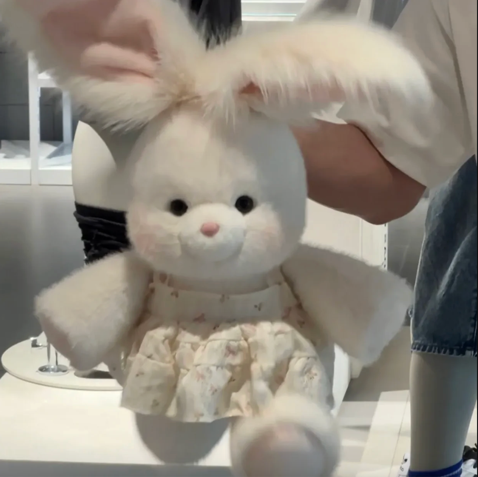  Cozy Rabbit Plush