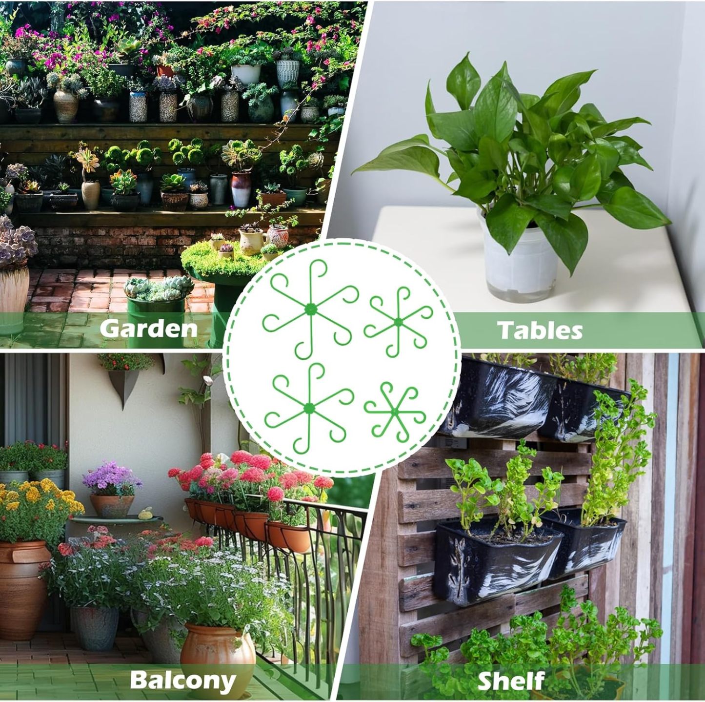 🌿Plant Stem Support Set