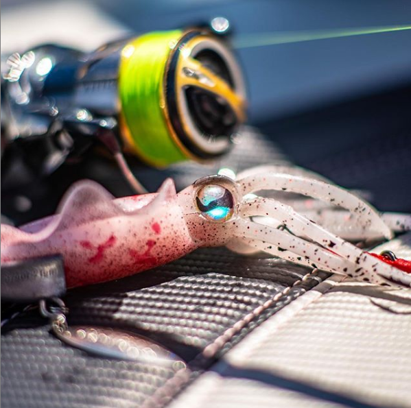 Squidy Luminous Lure - Buy 2 Get 1 Free Today