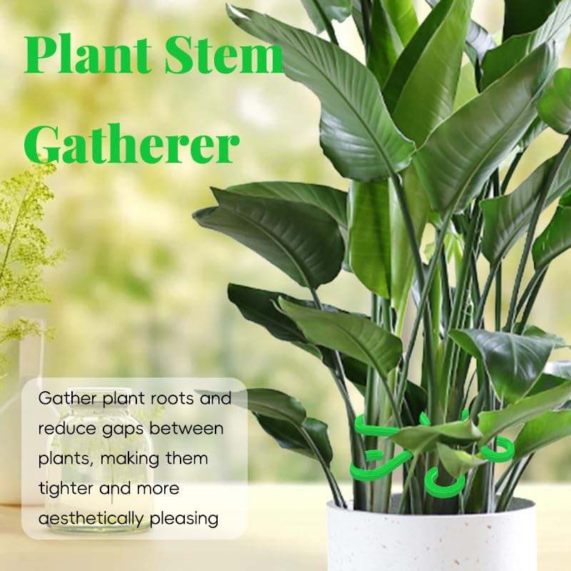 🌿Plant Stem Support Set