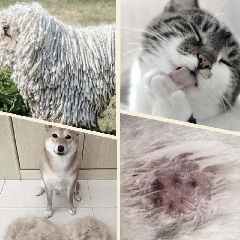 Double sided pet grooming brush