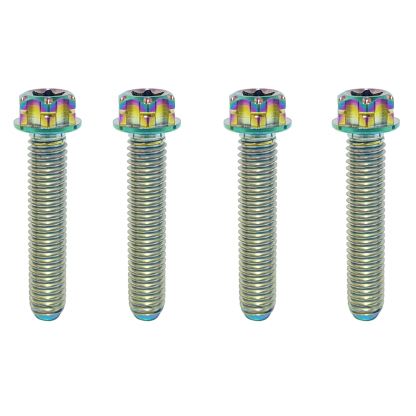 TIBROMTACK M6 Titanium Bolts, Flange Torx Head(4 pcs pack), T30 Torx Screwdriver, M6X10 15 20 25 30 35 40 45 50, High Strength Lightweight for Motorcycle, Automotive