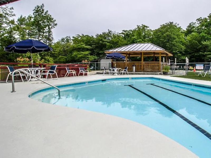 swimming pool cleaning