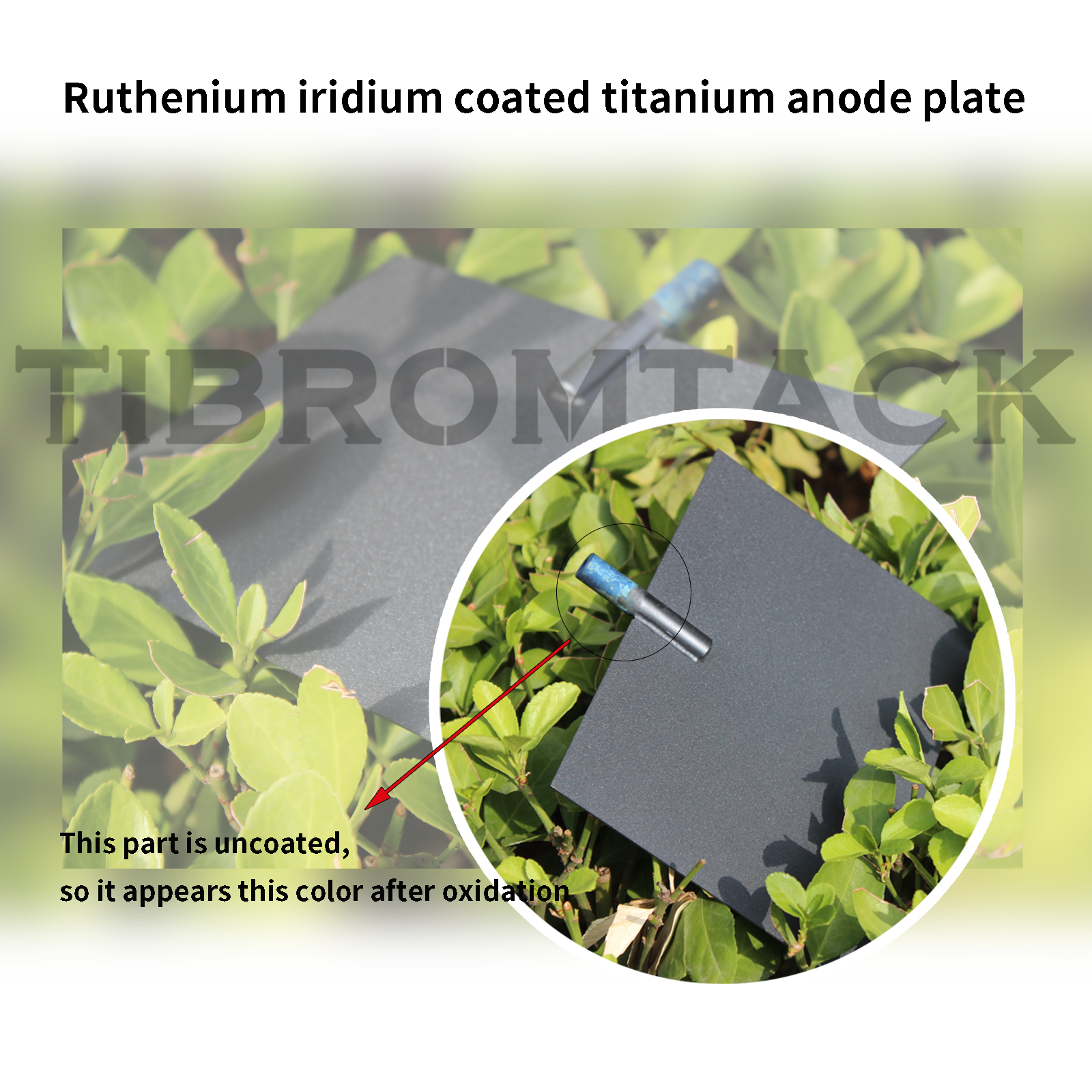 TIBROMTACK Ru-Ir Coated Titanium Anode Plate 120×165×1mm