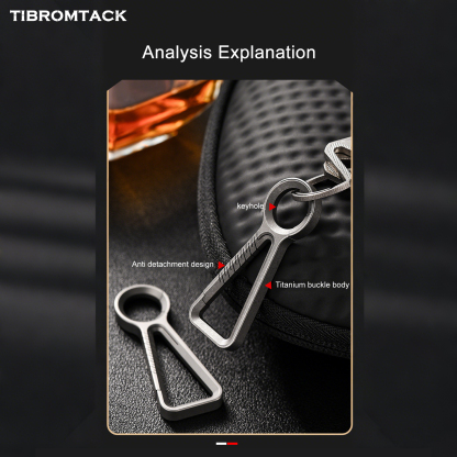 Titanium Carabiner, Lightweight & High Strength Keychain Clip, 2.2 Inch Mini Titanium Key Ring for Key Storage, Outdoor Gear Connection, Safety Auxiliary, Non-Magnetic, 0.29oz