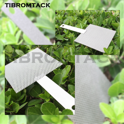 TIBROMTACK Platinum Coated Titanium Anode Mesh 100×100×1mm