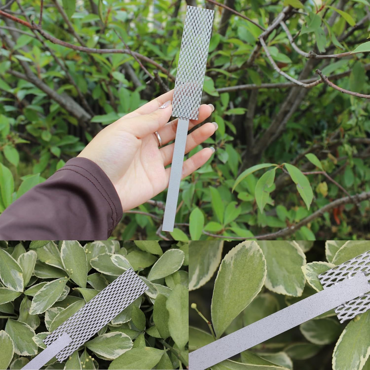 Platinized Titanium Anode Mesh 1"x4" Electrolytic Mesh with Platinum Coating Jewelry Plater Tool with Handle