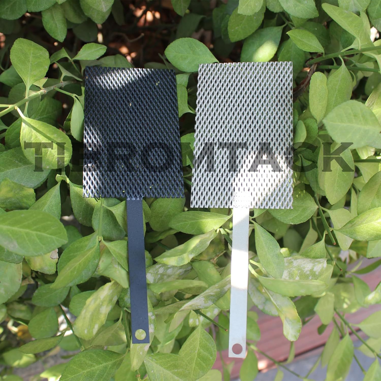 TIBROMTACK Electrochemical Titanium Anode Mesh with MMO Ruthenium Iridium Coating and Cathode Mesh without Coating, GHR030-1