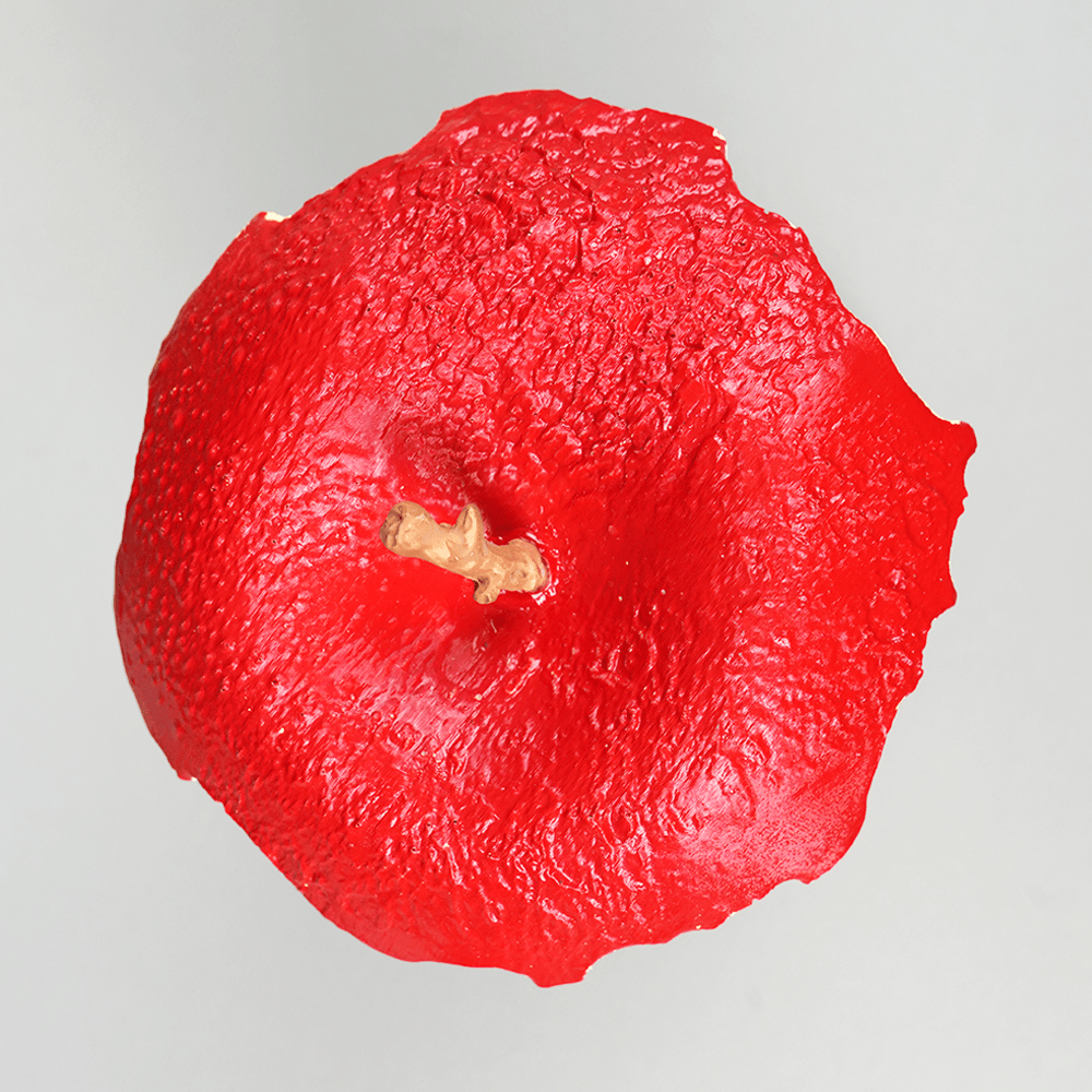 🍎Skull Apple Lamp💀: Light Up The Enchanting Fantasy Light