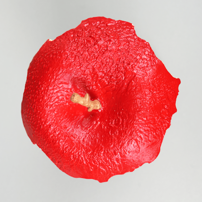 🍎Skull Apple Lamp💀: Light Up The Enchanting Fantasy Light