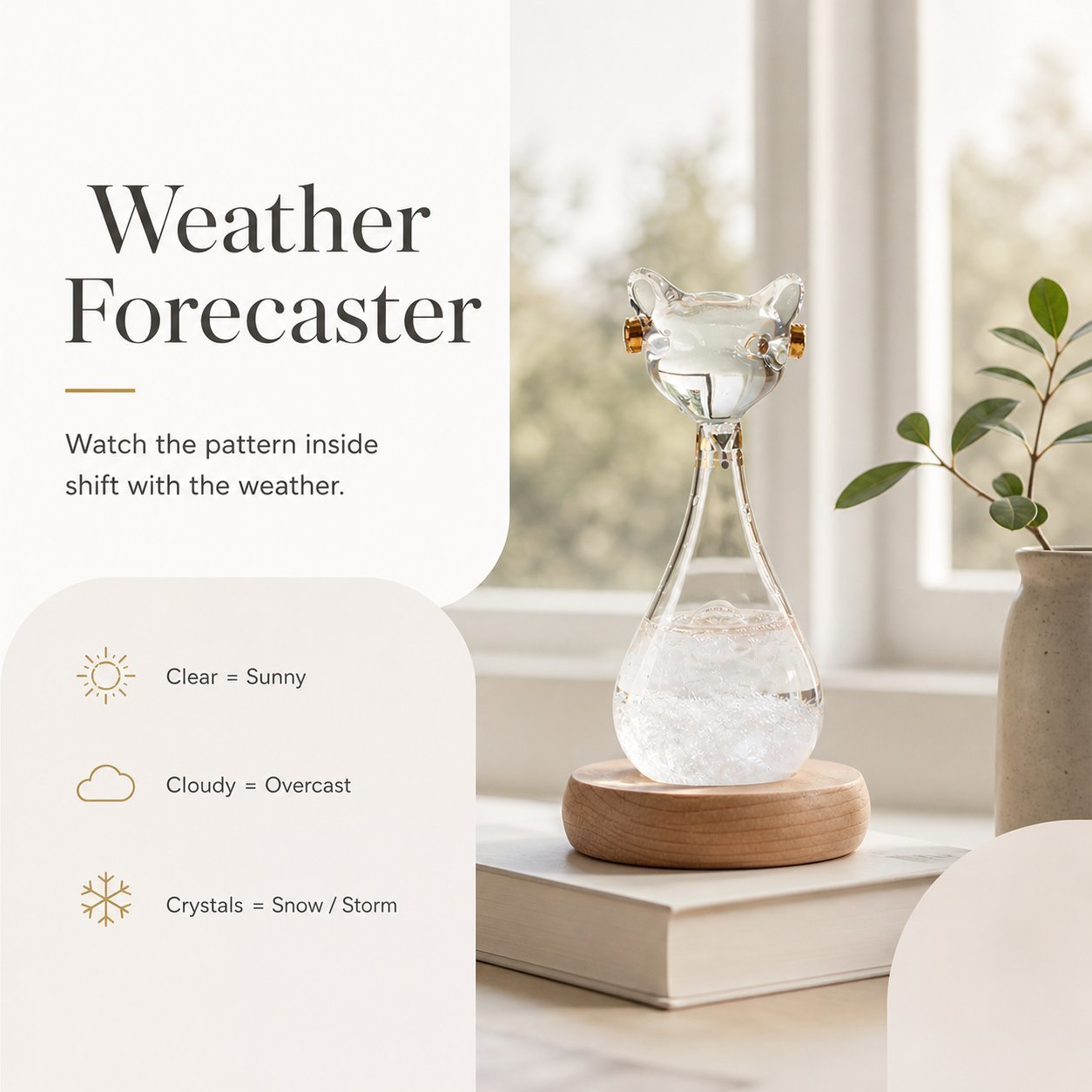 The Felis Forecast: Artisan Cat Storm Glass