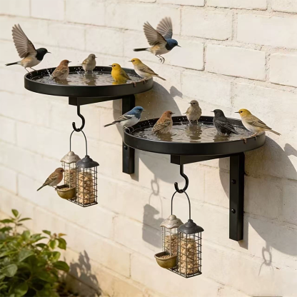 🐦💧 50% OFF! Wall-mounted metal birdbath – winterproof, easy to clean, and ideal for garden, balcony & patio 🌿