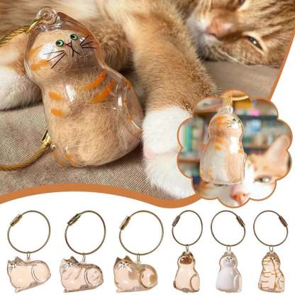 🔥Last Day 50% OFF - 🐾Pet Hair Memorial Capsule Keychain