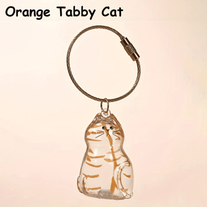 🔥Last Day 50% OFF - 🐾Pet Hair Memorial Capsule Keychain
