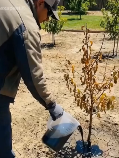 MoonSpry Aktywator Gleby | Organiczny Nawóz z 10mld Mikrobów | Spulchniacz Ziemi 🌿🌱