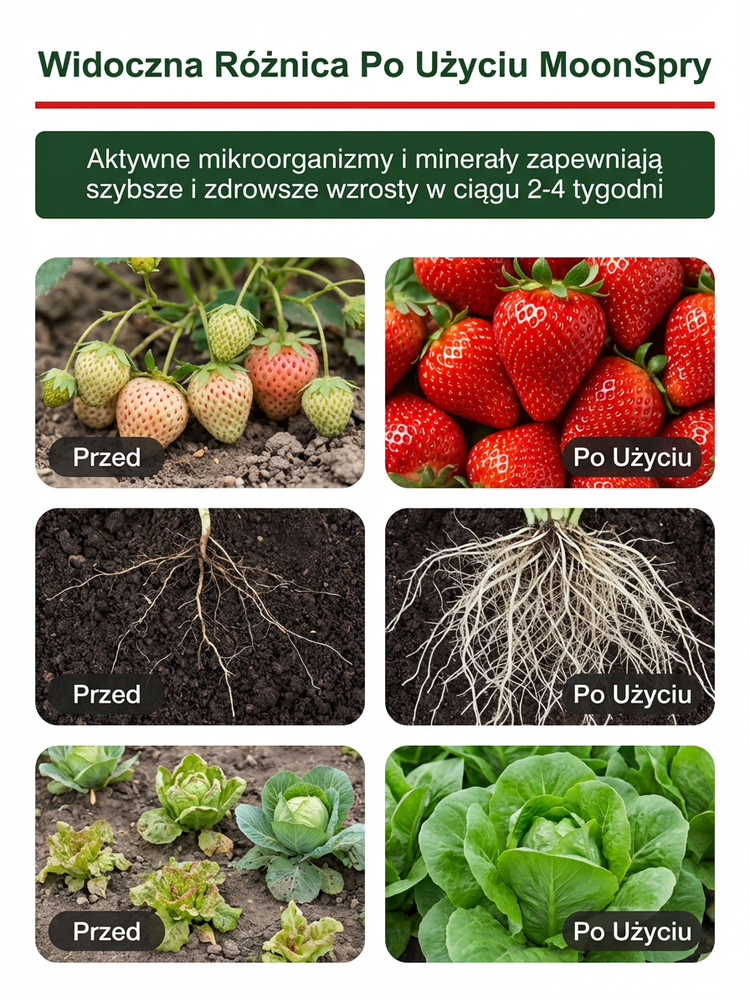 MoonSpry Aktywator Gleby | Organiczny Nawóz z 10mld Mikrobów | Spulchniacz Ziemi 🌿🌱