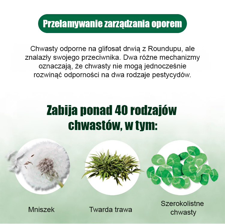 [99,8% usunięcia chwastów po 10 minutach oprysku] ❤️ Ulepszony herbicyd wielofunkcyjny