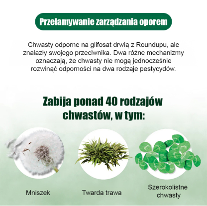 [99,8% usunięcia chwastów po 10 minutach oprysku] ❤️ Ulepszony herbicyd wielofunkcyjny