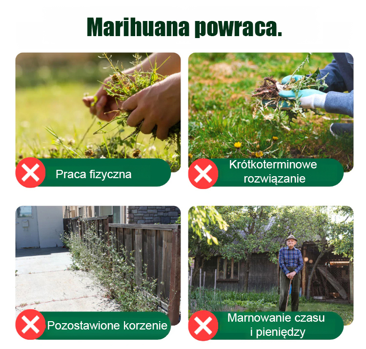 [99,8% usunięcia chwastów po 10 minutach oprysku] ❤️ Ulepszony herbicyd wielofunkcyjny