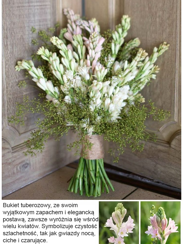 【Bardziej pachnący niż perfumy】Kwiaty tuberozy pachnące na tysiące mil，Kwitnie co roku