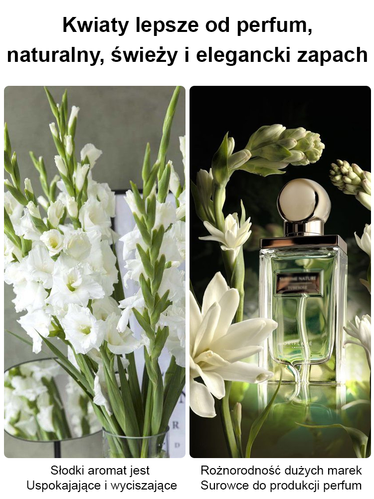 【Bardziej pachnący niż perfumy】Kwiaty tuberozy pachnące na tysiące mil，Kwitnie co roku