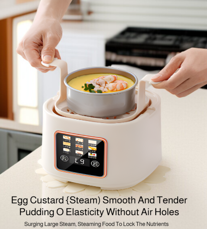 Household Smart Mini Multifunctional Touch-Control Egg Cooker with Nine Modes
