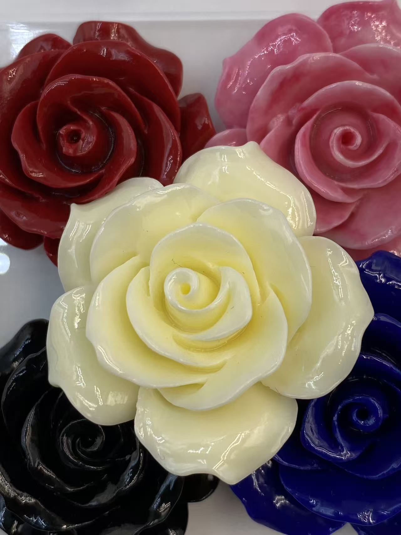 7.Camellia （Shell ）