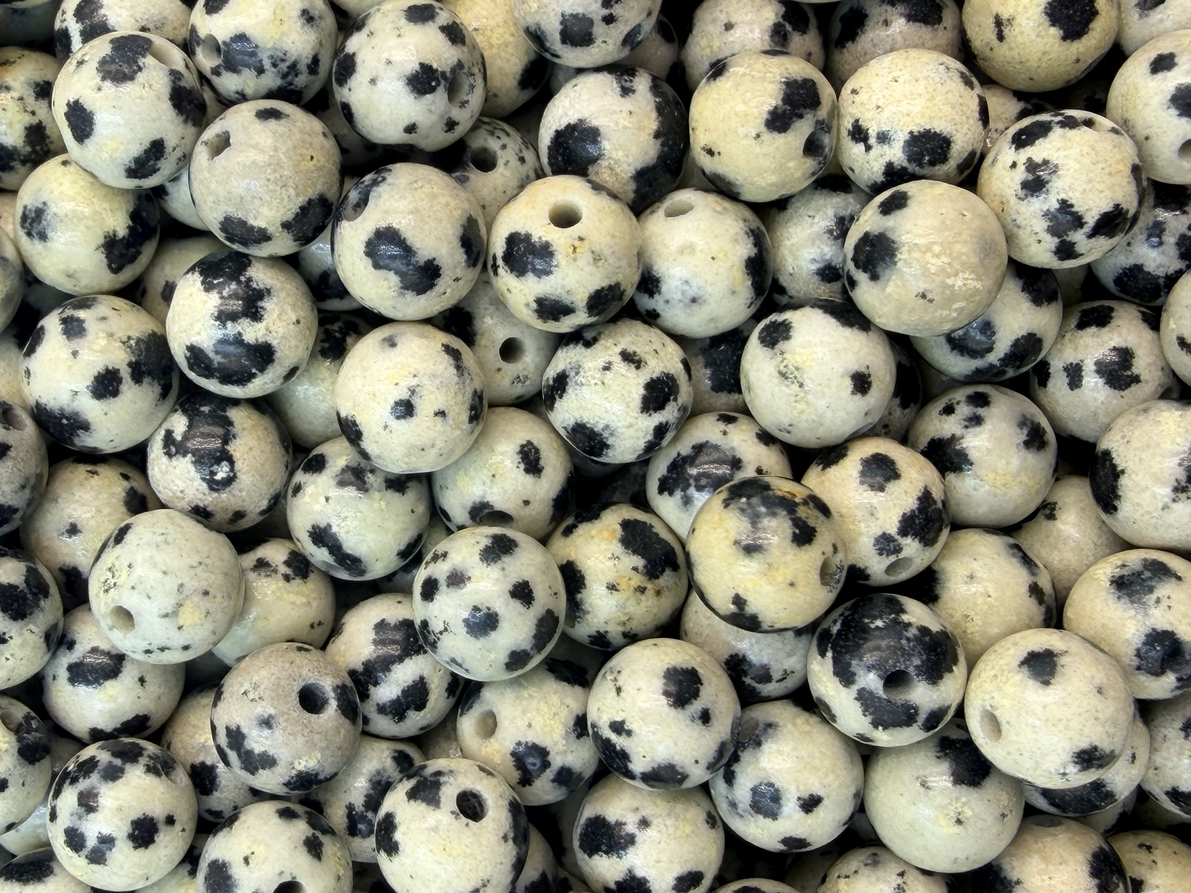 17.Dalmatian Jasper