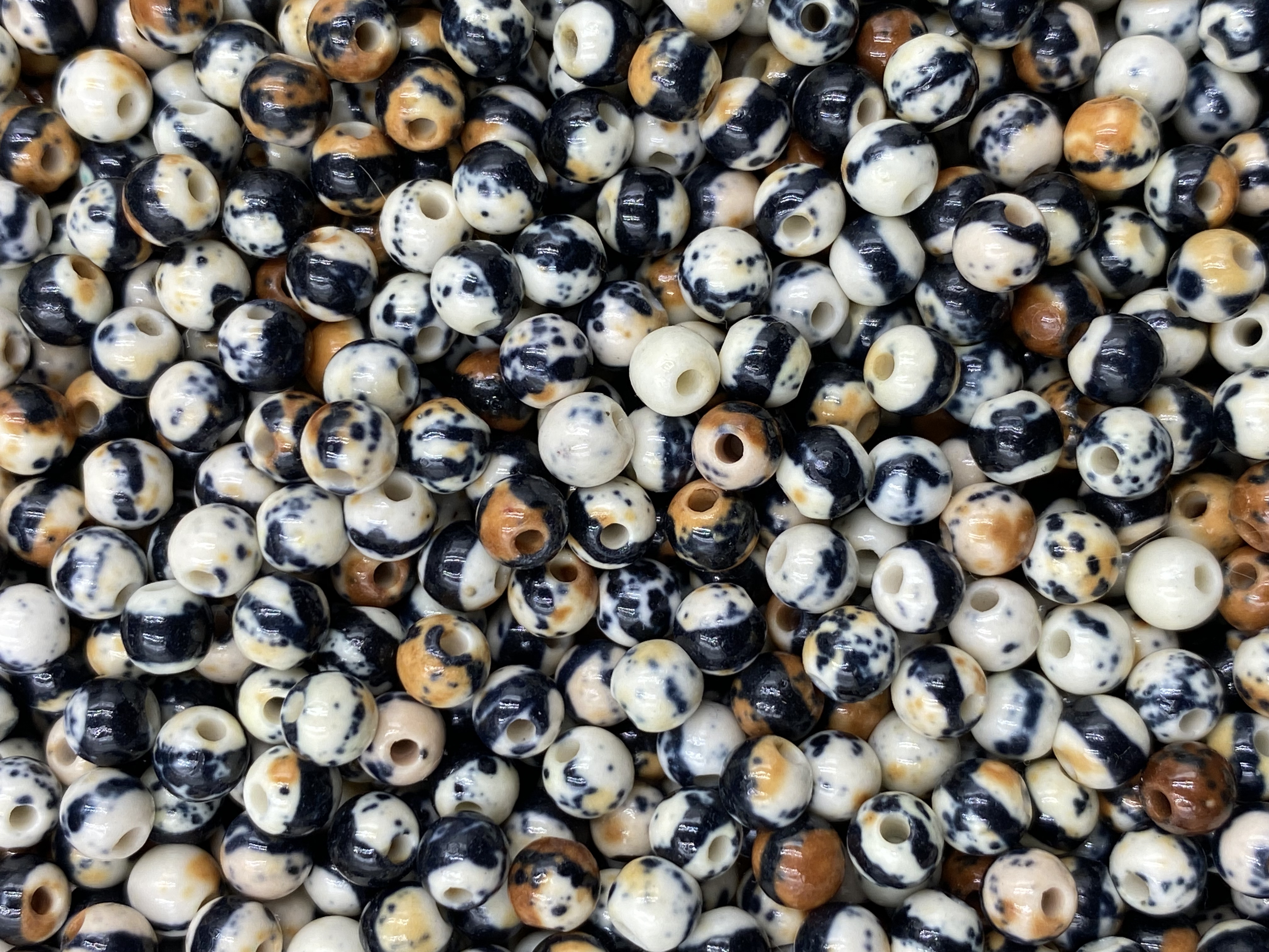 29.Orca Shell Bean 