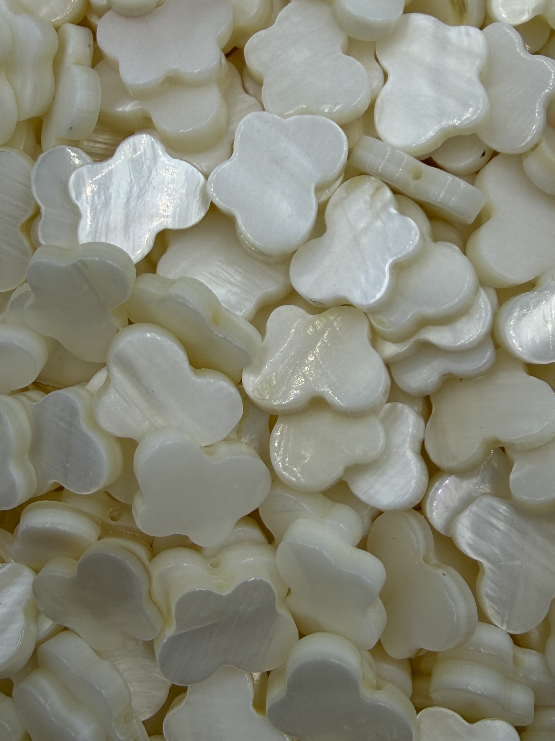 70.Shell Bean Butterfly Shape