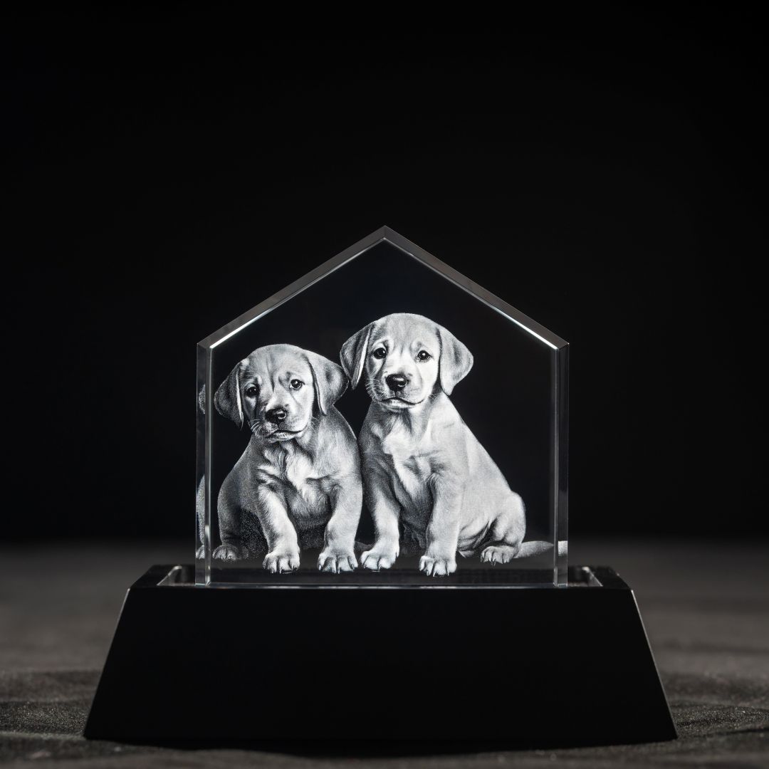 3D Crystal Roof Female and Pet