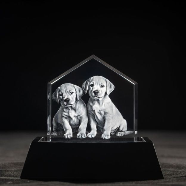 3D Crystal Roof Female and Pet