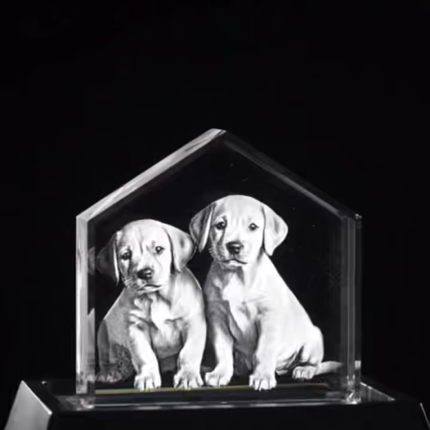 3D Crystal Roof Dogs