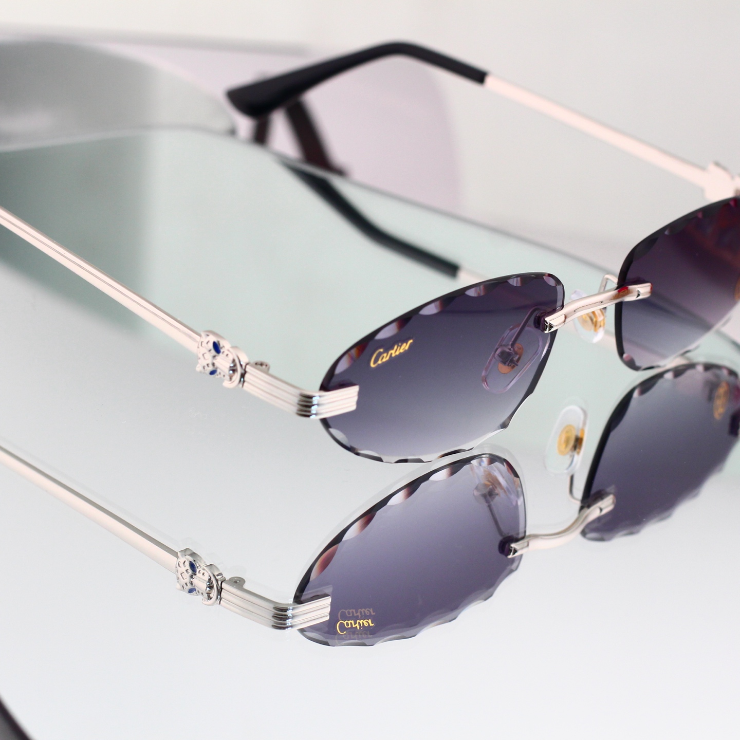 6 Colors Fashion Sunglasses 8048