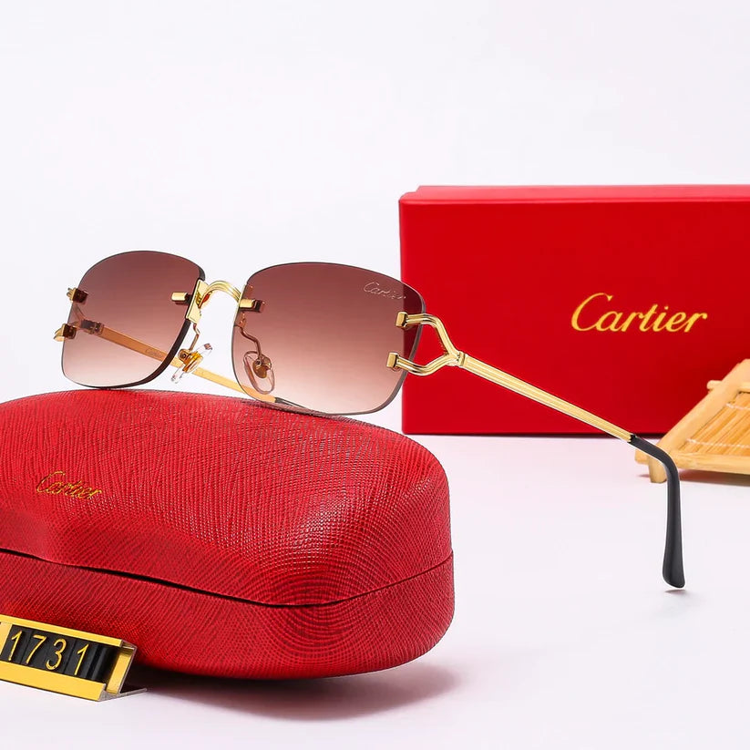 The new hottest trendy sunglasses 1731