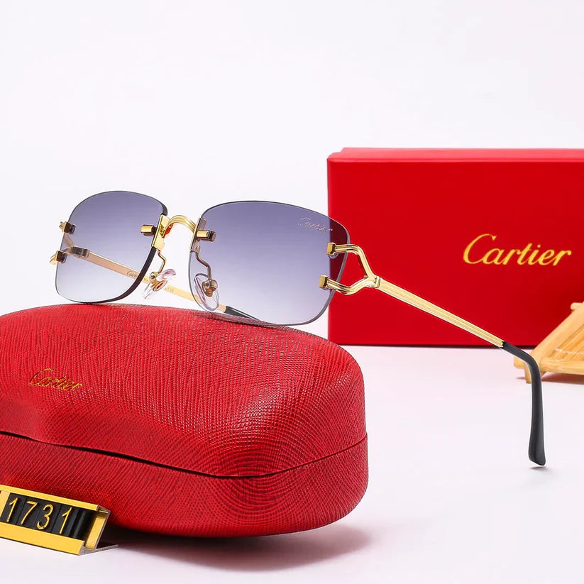 The new hottest trendy sunglasses 1731