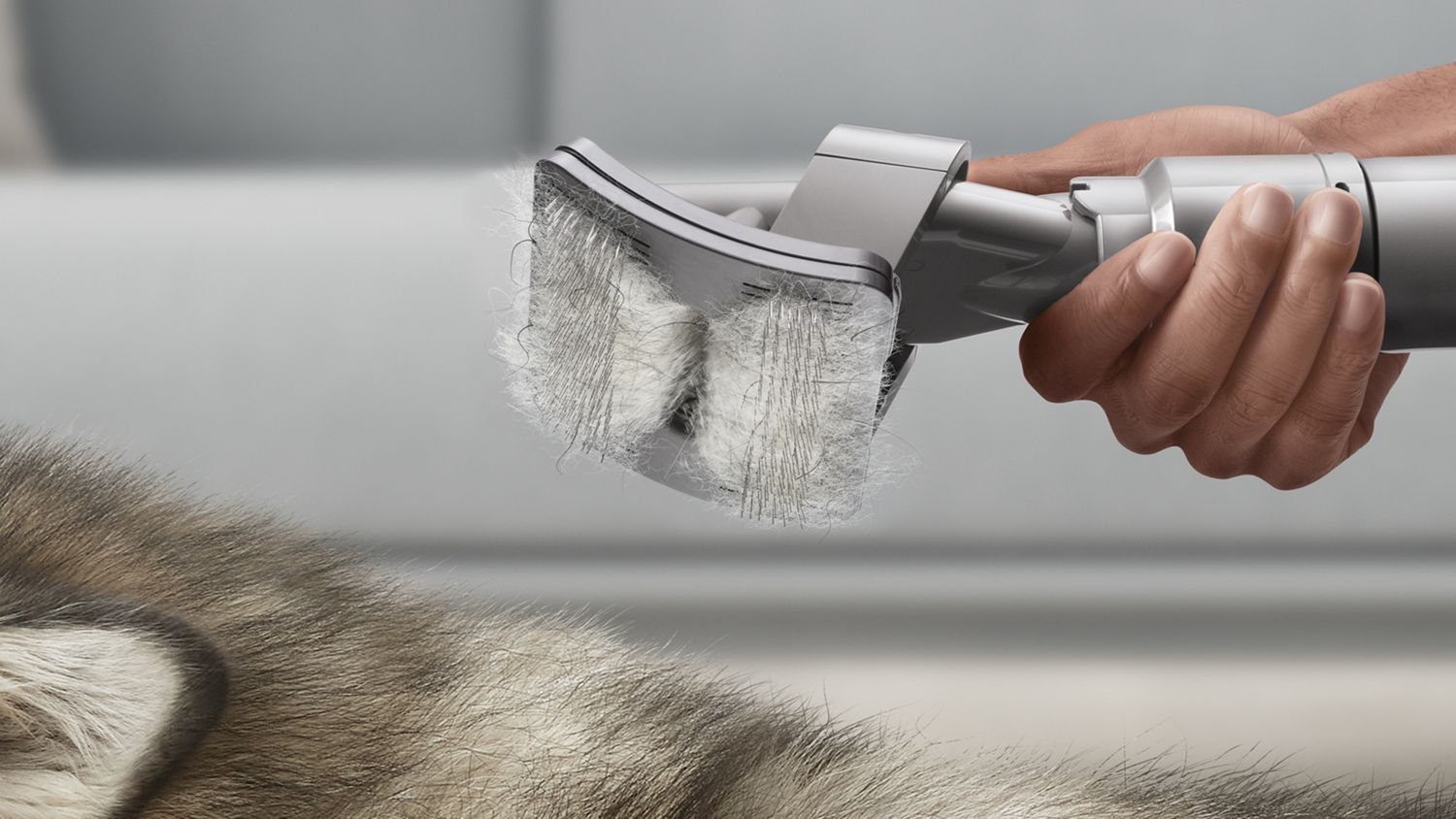 Hair caught in Pet grom tool bristles