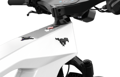 Ford  Mustang eBike