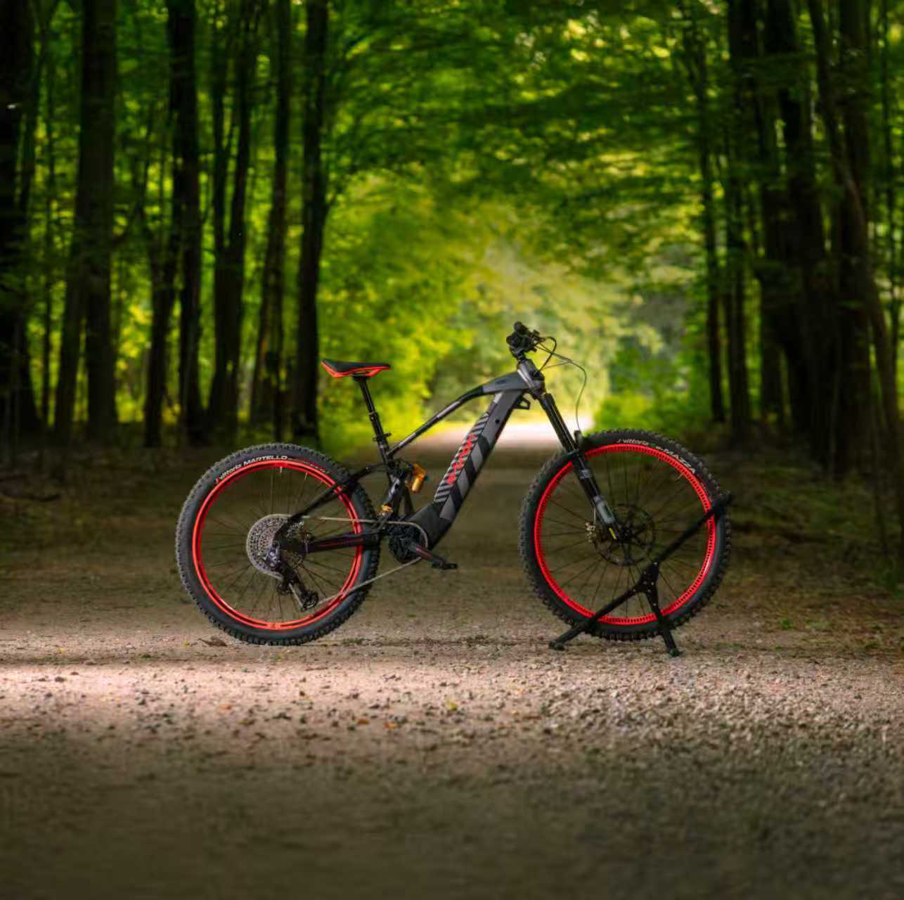 Audi Electric Mountain Bike