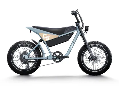 Electric Motorbike C5