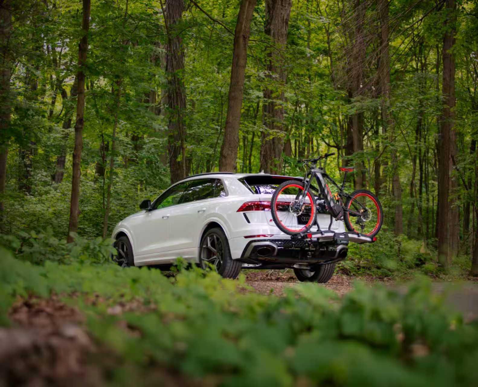 Audi Electric Mountain Bike