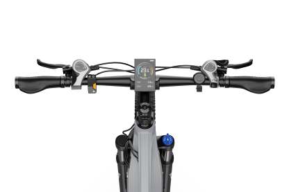 DUOTTS E29 Electric Bike