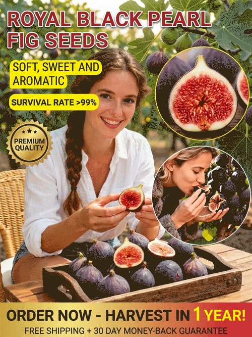 soft, sweet and  aromatic ，survival rate >99%  ，Bearing fruit in just two months! 
