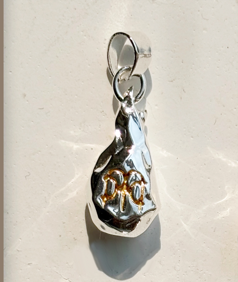 Honkai: Star Rail Titan Spark Solid Silver Necklace