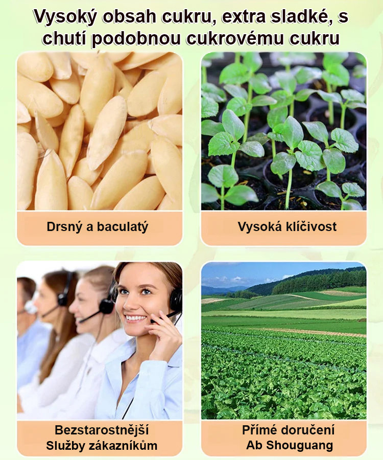 Semena kamenného cukru, semena melounu