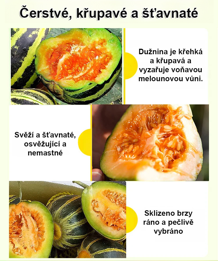 Semena kamenného cukru, semena melounu