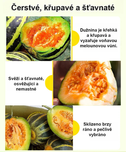 Semena kamenného cukru, semena melounu