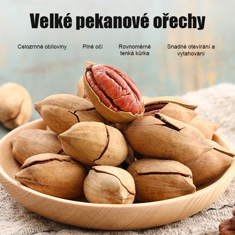 Americké importované sazenice pekanových ořechů