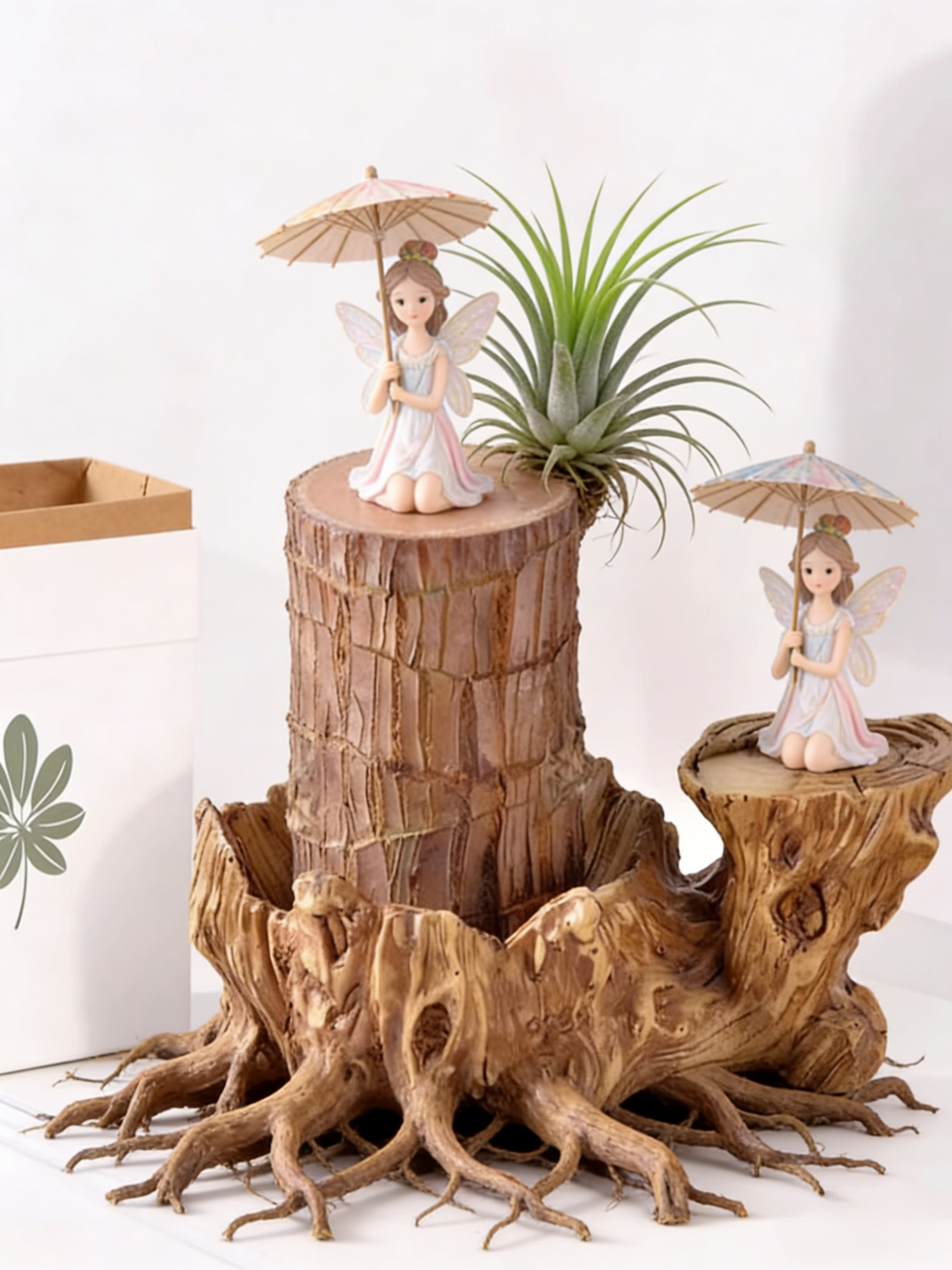 【Voda znamená život】Čtyřsezónní kvetoucí hydroponie brazilského šťastného dřeva